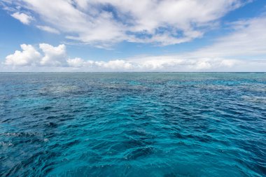 Great Barrier Reef, Cairns, Queensland, Avustralya