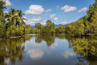 Tatlı su Gölü Cairns botanik bahçeleri, Cairns bölge, Queensland, Avustralya