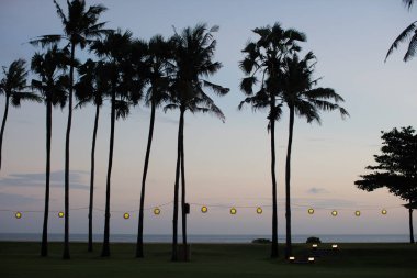 Akşam ve çelenk yuvarlak sarı ışıklar ile ağaç siluetleri palmiye. Bali, Endonezya.  