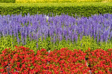 Bahçenizi Tiananmen Meydanı, Beijing, Çin