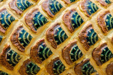 Seramik ölçekler bir ejderha heykeli Wat Phra Bu DOI Waodani, Chiang Rai, Tayland