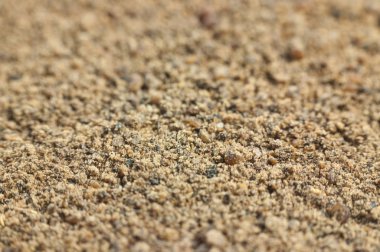 Çekilmiş karabiber doku