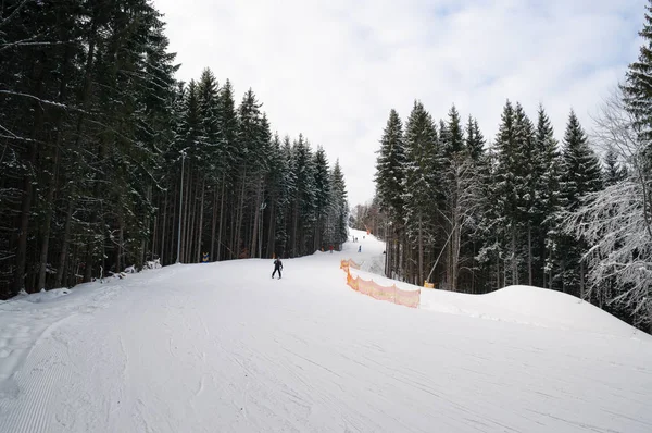 Resort Bukovel Karpat Dağları'nda Kayak