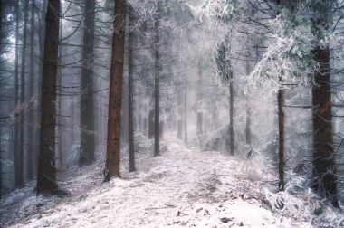 Kış sahne: yol ve orman hoar-frost ağaçları ile