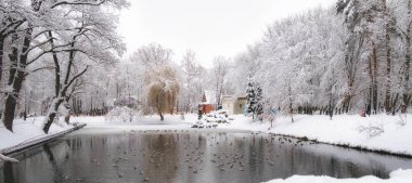 Büyük şehir parkı karda
