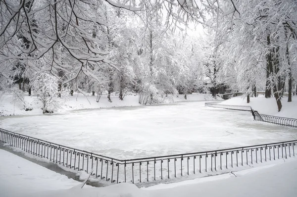 Great snow in the city park