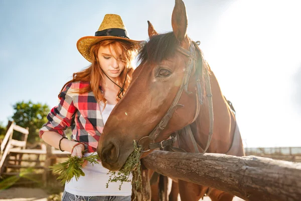 Mulher bonita vaqueira cuidando e givivn comida para cavalo — Fotografia de Stock