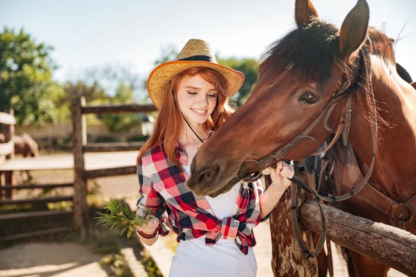 Donna allegra cowgirl che dà cibo al cavallo al ranch — Foto Stock