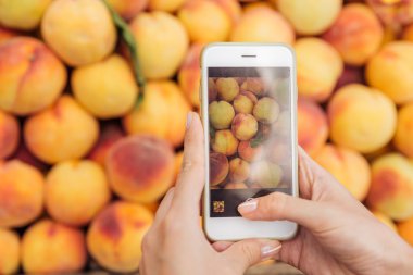 Cep telefonu ve taze şeftali resimlerini holding eller