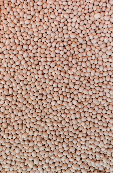 Hromadu bílé fazole — Stock fotografie