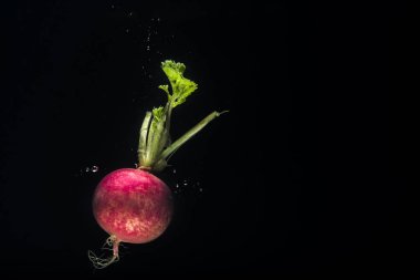 Su damlaları ile kırmızı pancar