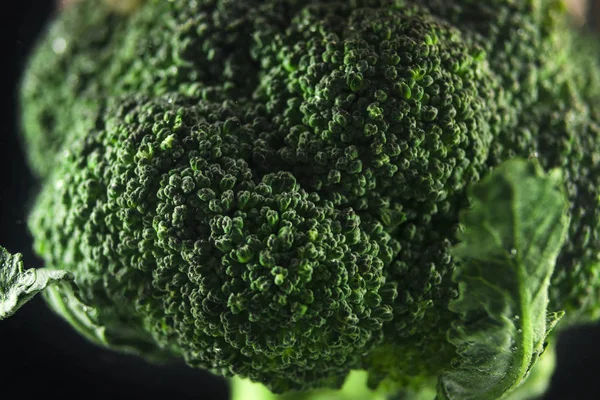 Primo piano del fiore di broccoli con gocce d'acqua — Foto Stock