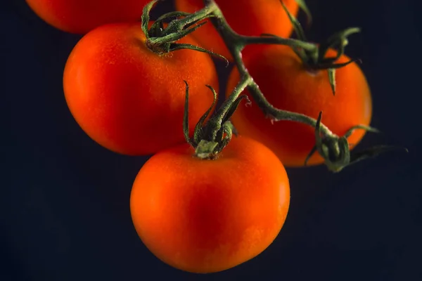 Reife frische Kirschtomaten isoliert — Stockfoto