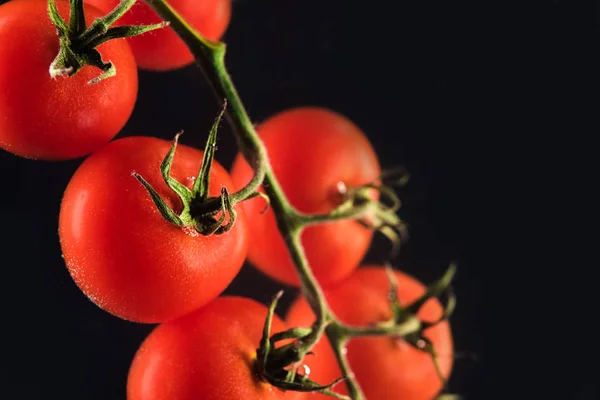 Reife frische Kirschtomaten isoliert — Stockfoto