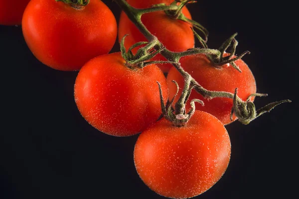 Bund frischer nasser Tomaten isoliert — Stockfoto