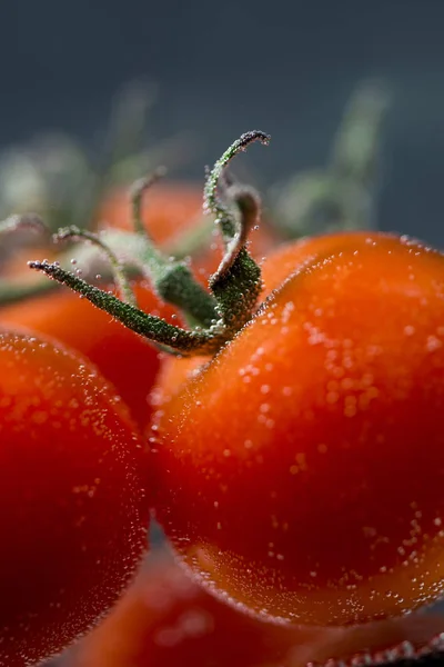 Nahaufnahme von frischen nassen Tomaten isoliert — Stockfoto