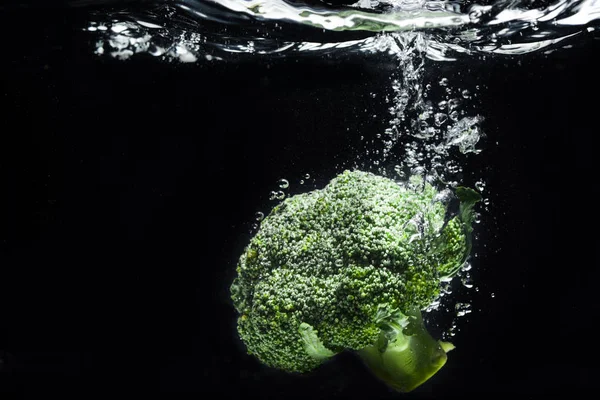 Verse broccoli in water — Stockfoto