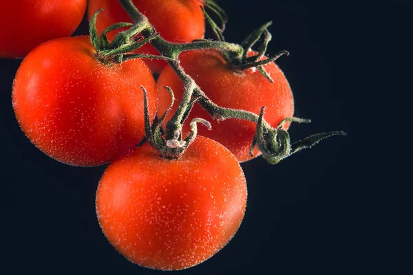 Nahaufnahme Porträt einer reifen roten Tomaten — Stockfoto