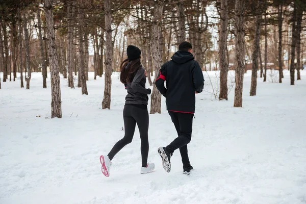 Visão traseira do jovem casal jogging na floresta juntos — Fotografia de Stock