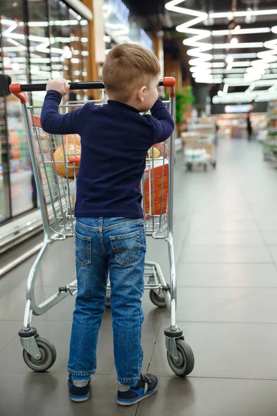 Вертикальное изображение мальчика с тележкой для покупок — стоковое фото