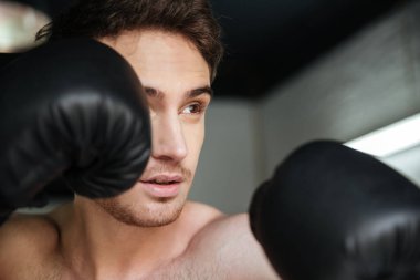 Boksör karanfil kaldırdı elleriyle yan görünüm