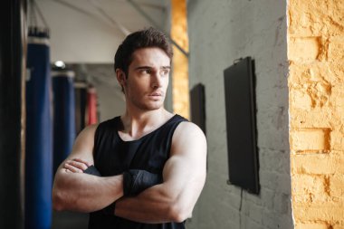 Sakin boksör ile çapraz kol ayakta