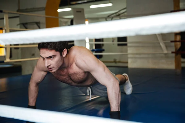 Boxer concentré faisant des pompes dans la salle de gym — Photo