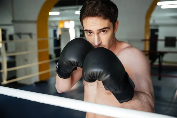 Silné boxer s rukou — Stock fotografie