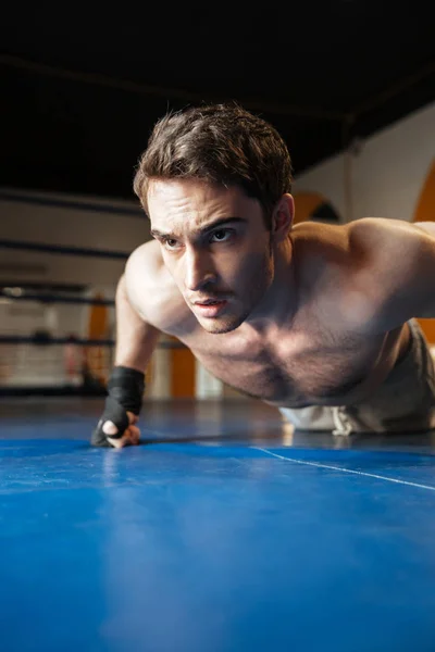 Függőleges kép Boxer során push ups — Stock Fotó