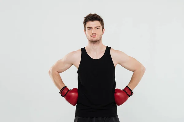 Concentrated young sportsman boxer — Stock Photo, Image