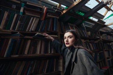 Kat alarak kitap şık bir kadın portresi