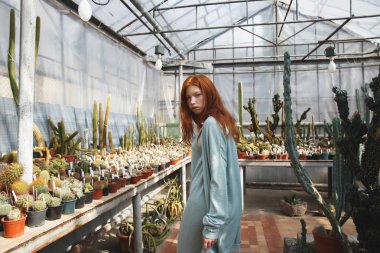 Genç kız camdan bir evde ayakta kaktüsler dolu