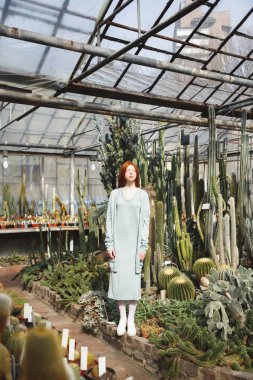 Genç kız camdan bir evde ayakta kaktüsler dolu