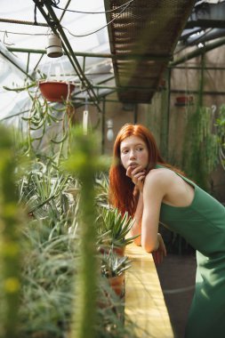 Portre içinde güzel bir kızıl saçlı kadın