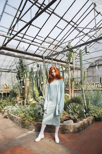 Menina de pé em uma casa de vidro cheia de cactos — Fotografia de Stock