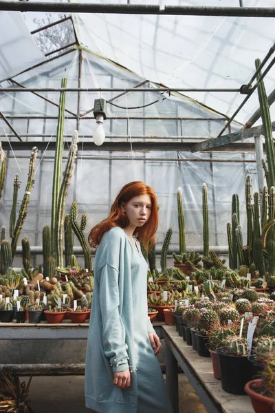 Genç kız camdan bir evde ayakta kaktüsler dolu