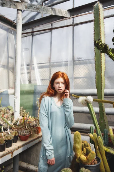 Chica joven de pie en una casa de cristal llena de cactus — Foto de Stock