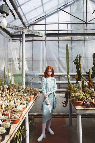 Menina de pé em uma casa de vidro cheia de cactos — Fotografia de Stock