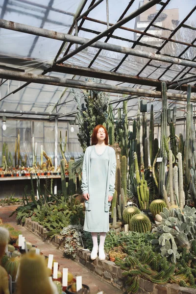 Молода дівчина стоїть у скляному будинку повний кактусів — стокове фото
