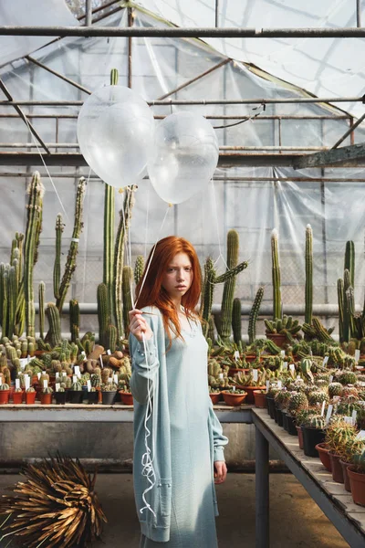 Chica joven de pie en una casa de cristal llena de cactus — Foto de Stock