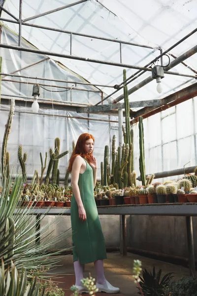 Дівчина стоїть у скляному будинку повний кактусів — стокове фото