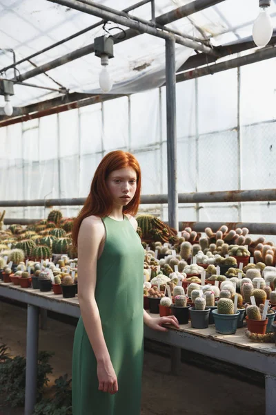 Menina de pé em uma casa de vidro cheia de cactos — Fotografia de Stock