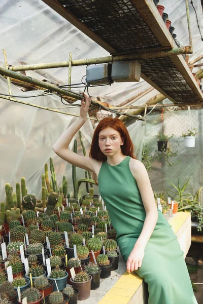 Дівчина сидить на полиці з кактусами — стокове фото
