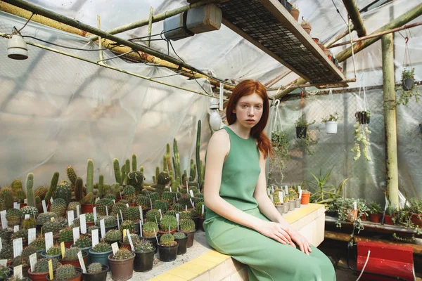 Menina sentada na prateleira com cactos — Fotografia de Stock