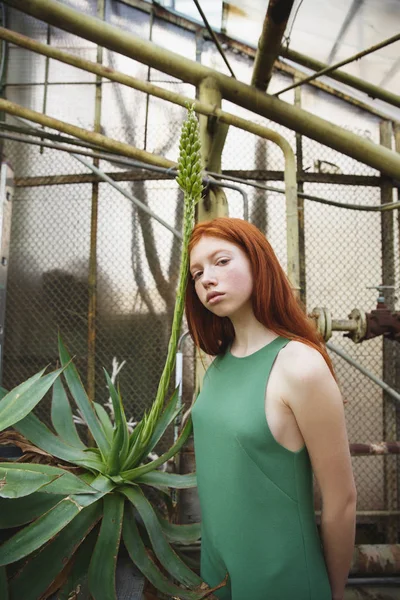 Wunderbares Mädchen lehnt sich an grüne exotische Pflanze im Grünen — Stockfoto