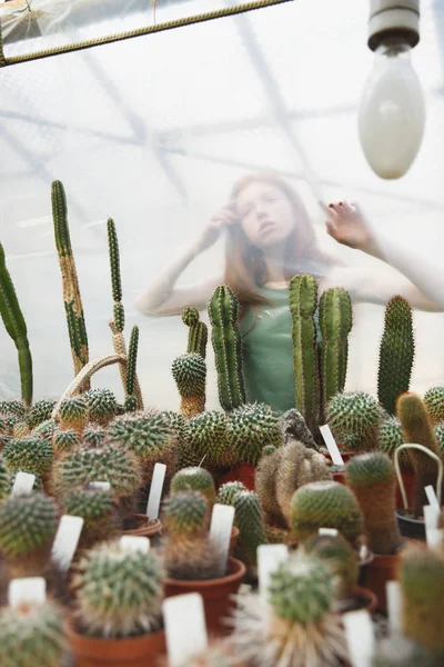 Chica bonita posando cerca de cactus — Foto de Stock