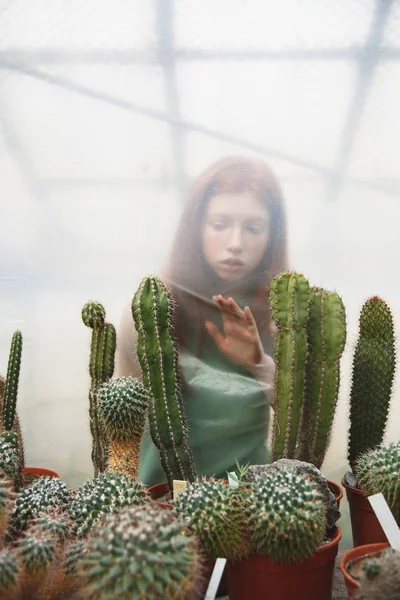 Pensive girl behind /// trying to touch cacti — Stock Photo, Image