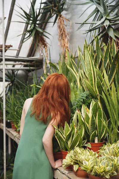 Back view of redhead girl near greenery — Stock Photo, Image