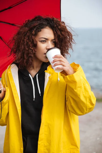 Geconcentreerde Afrikaanse krullend jongedame buiten wandelen en koffie drinken. — Stockfoto