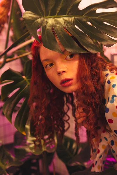 Ciddi genç redhead kıvırcık Bayan hela yakınındaki kafede ayakta